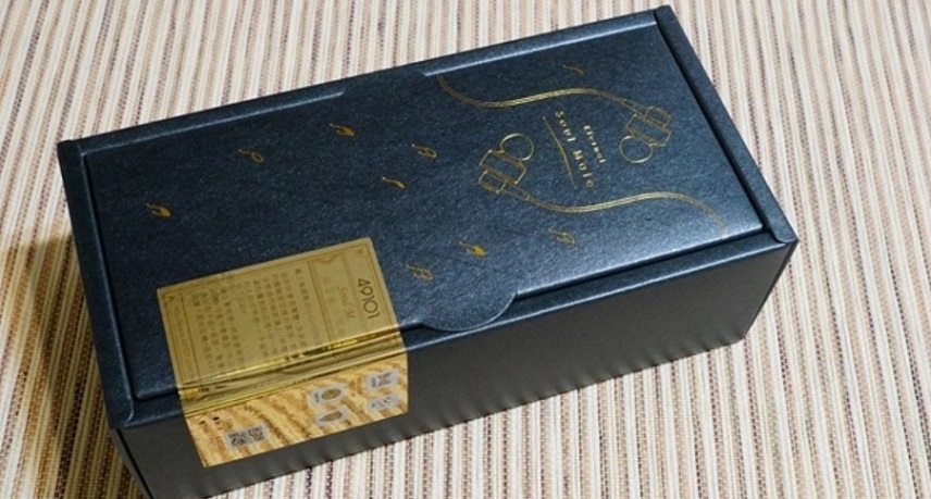 49101 大圖 1.jpg