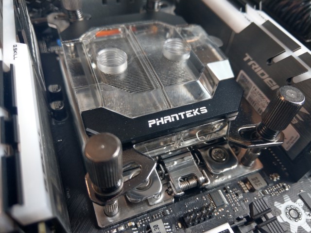 IMAG2075 (Small).jpg