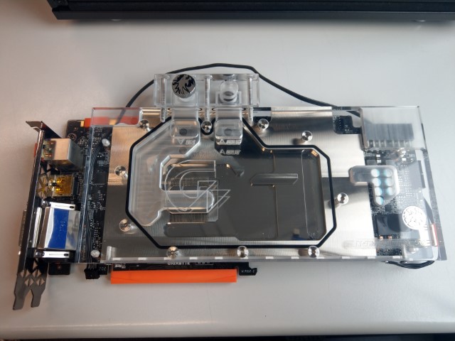 IMAG2081 (Small).jpg